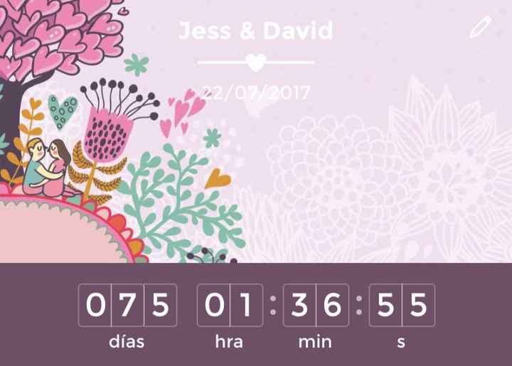Que marca tu contador?? 👰🏻 cuantos días te faltan? 💍 - 1