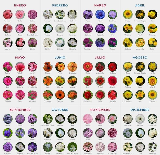 De nuevo yo... Centros de mesa - 1