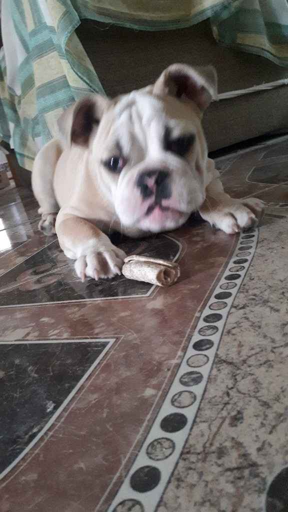 Nuestro bby, no podra acompañarnos a la boda - 1