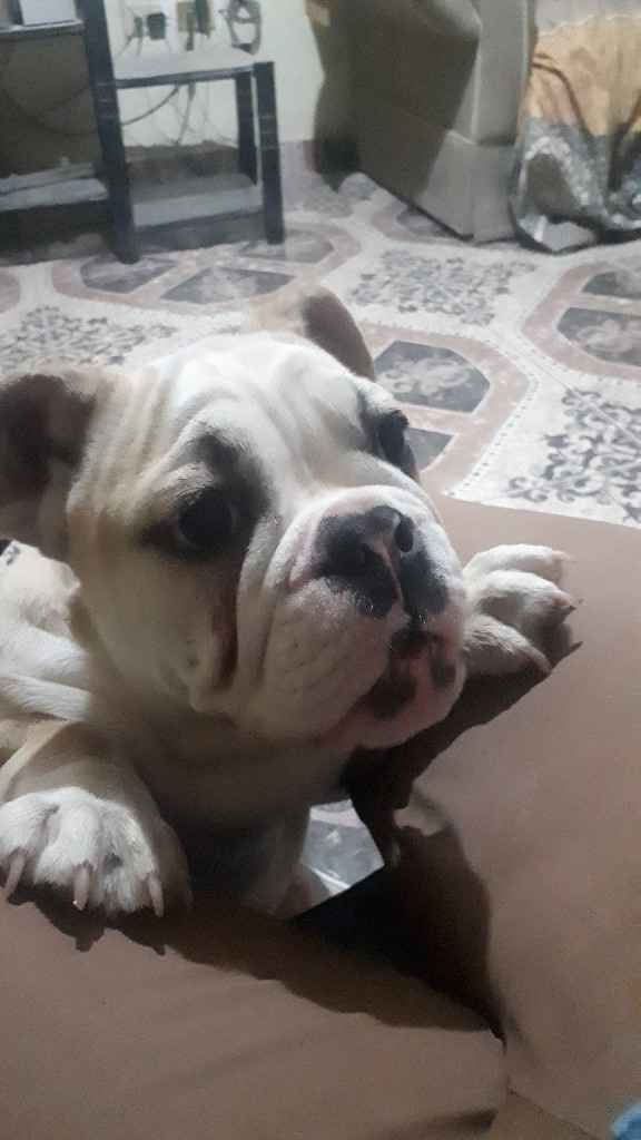 Nuestro bby, no podra acompañarnos a la boda - 2
