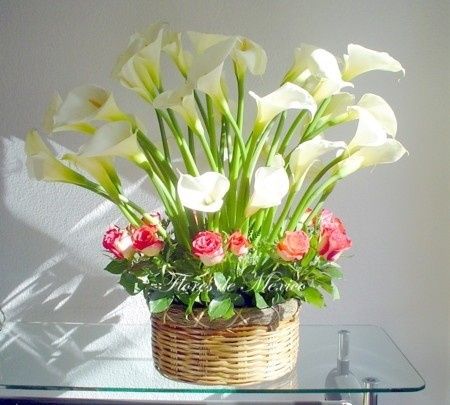 uno de los diseños para mi centro 