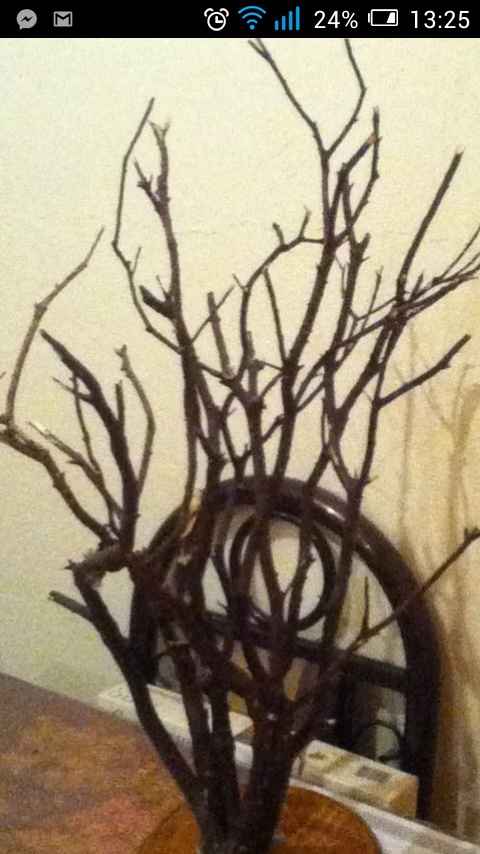 Fotos de mis avances!! :) - 9