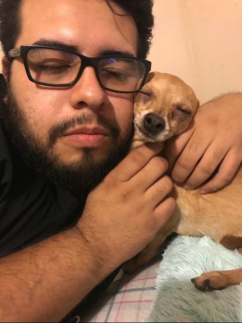 Mascotas para recien casados :) 6