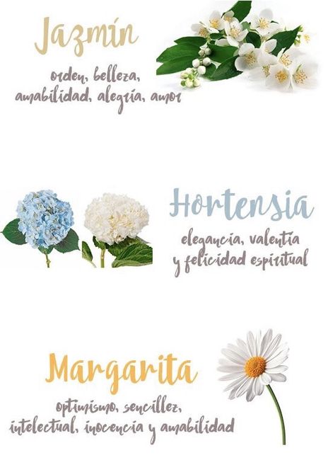 Significado de las flores en la boda 🌷🌹 2