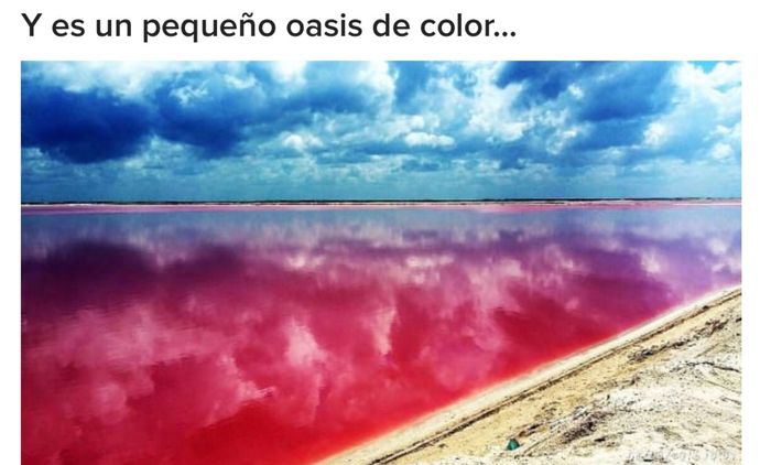 Playa las coloradas, la playa rosa de México 5