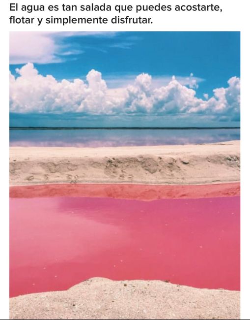 Playa las coloradas, la playa rosa de México 11