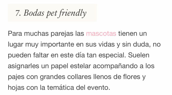 10 características de una boda millennial - 20