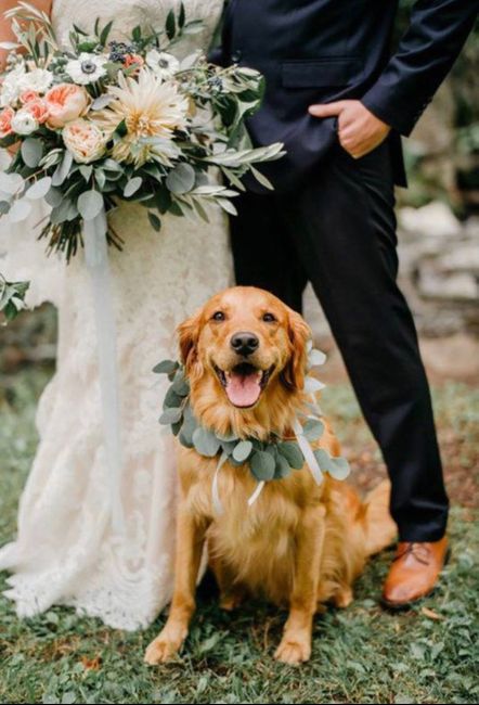 10 características de una boda millennial - 23