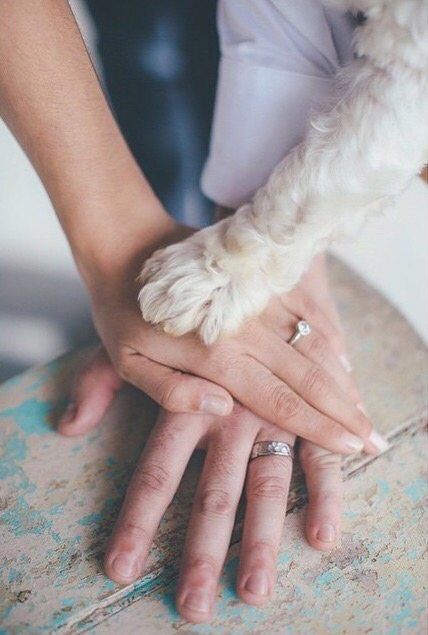i said yes! Fotografías especiales para redes sociales 📸 - 18