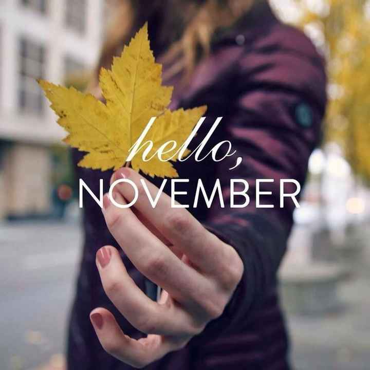 Donde están las novias de noviembre! - 1