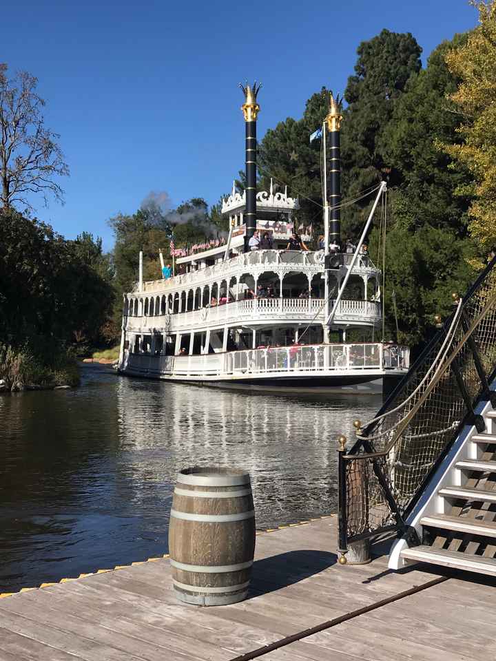 Mi primer aniversario festejándolo en Disneyland ✨ - 10