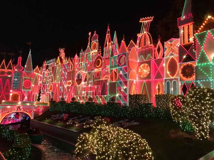 Mi primer aniversario festejándolo en Disneyland ✨ - 16