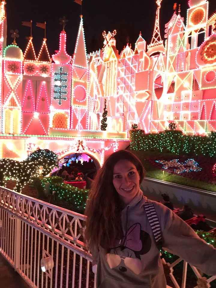 Mi primer aniversario festejándolo en Disneyland ✨ - 17