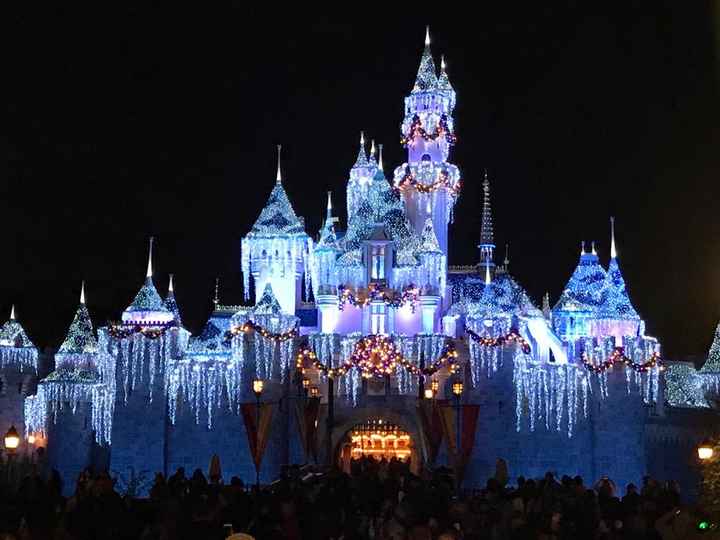 Mi primer aniversario festejándolo en Disneyland ✨ - 19