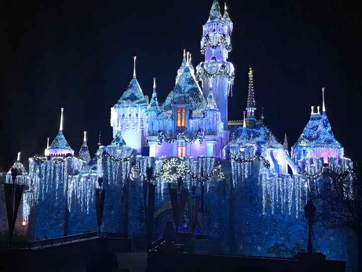 Mi primer aniversario festejándolo en Disneyland ✨ - 20