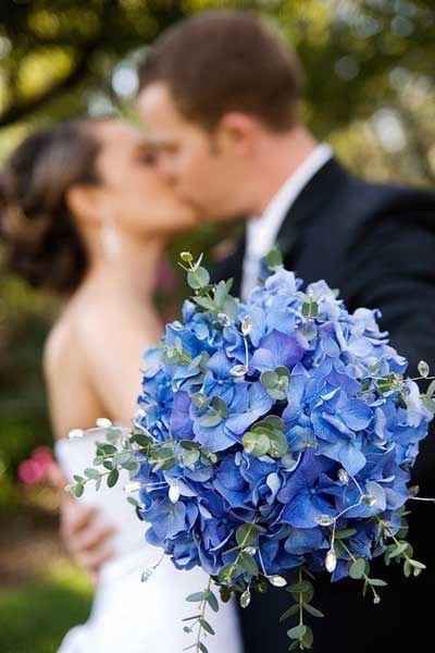 Ramo por colores: Azul 💙 - 1