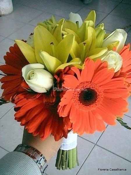 Ramo damas