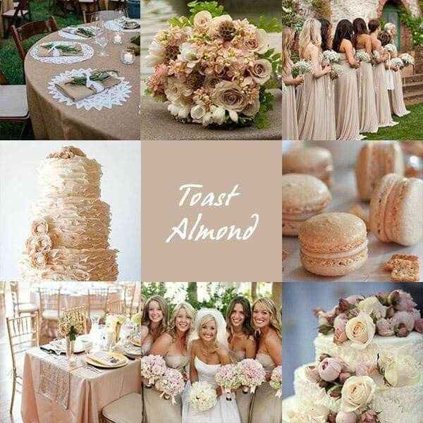 Combinaciones de colores en beige y dorado - 1