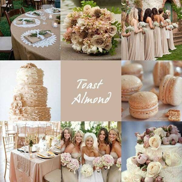 Combinaciones de colores en beige y dorado - 1