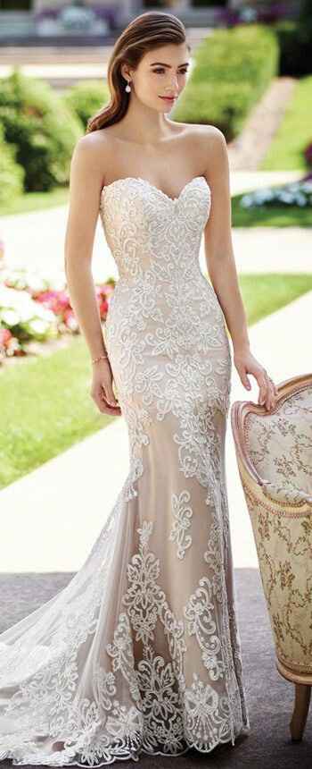 David tutera - 3