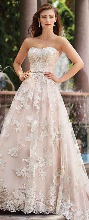 David tutera - 6
