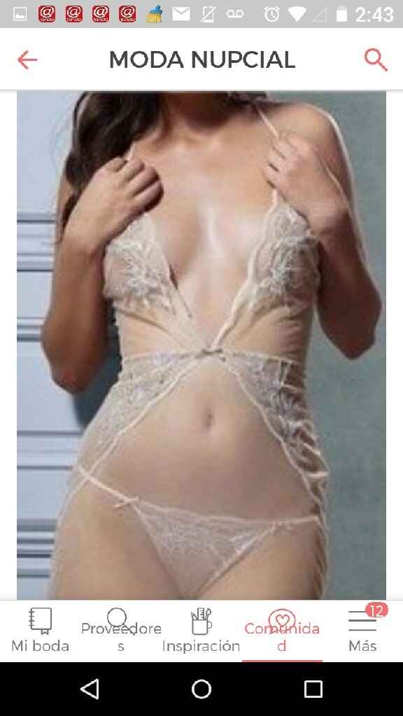 Si me caso gian con esta lencería!! - 1