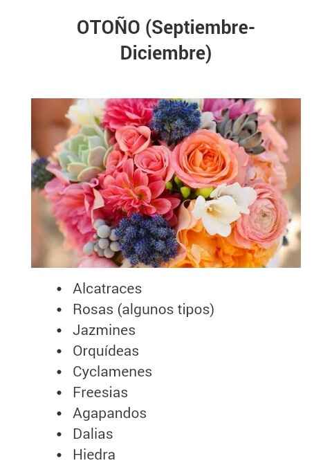 Flores segun su temporada!! - 3