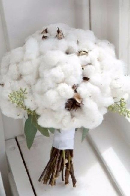 Novias con algodón