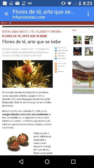 Sugerencias: recuerdos de papel semilla - 2