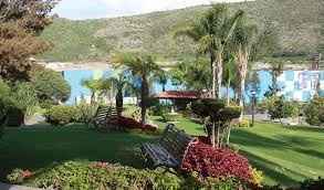 De la terraza al jardin