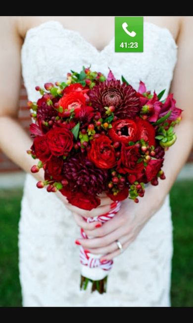 Novi@s de noviembre 2016 - 1