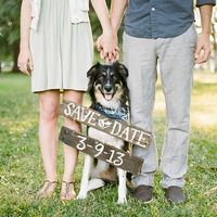 Hacer sesión de save the date o no ? - 14