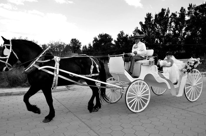 con el nervio a todo lo que da 