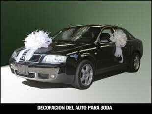 Avances boda - 7