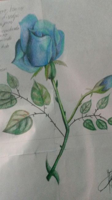 Su primera carta, la tienen? - 4