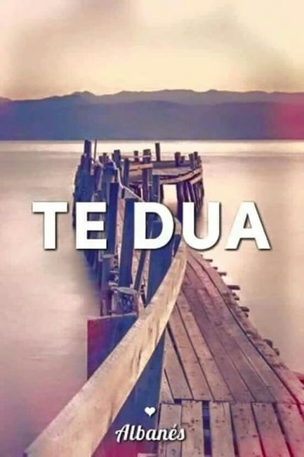 Dicelo en todos los idiomas - 14
