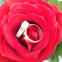 Mis anillos