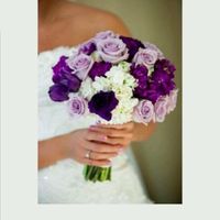 No se que ramo elegir - 2