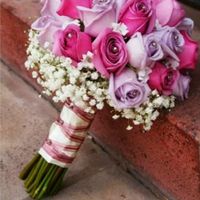 No se que ramo elegir - 3