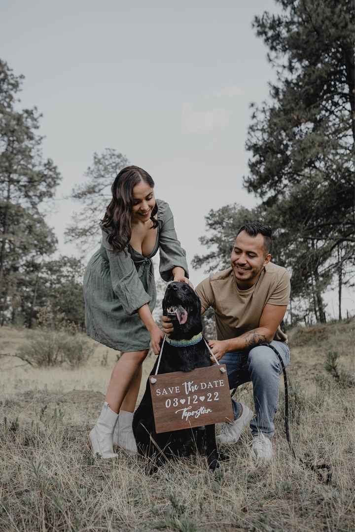 Valora este invitado especial 🐶🐱 - 1