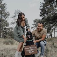 Valora este invitado especial 🐶🐱 - 1