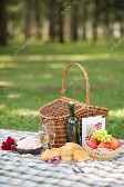 pic nic 2