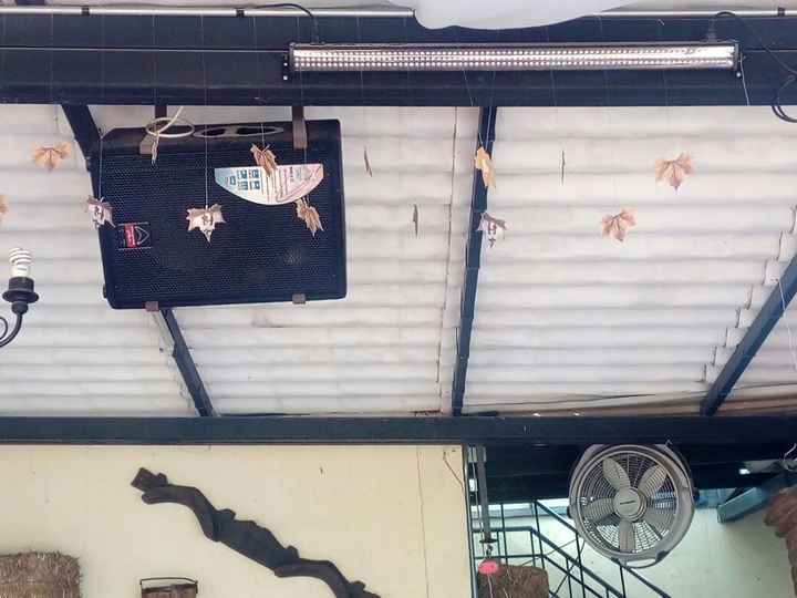 mas de cerca las hojitas que caeran por todo el techo