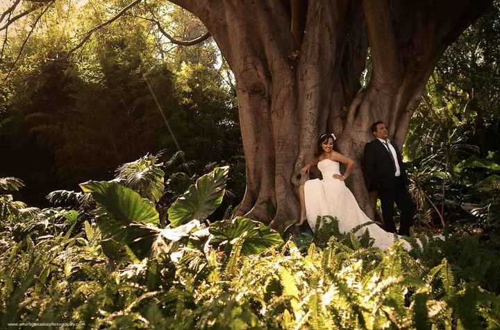 que resalta la fotografia