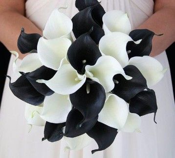 Blanco y negro a la par