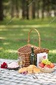 pic nic 2