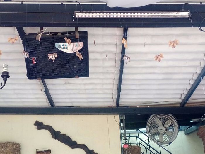 mas de cerca las hojitas que caeran por todo el techo