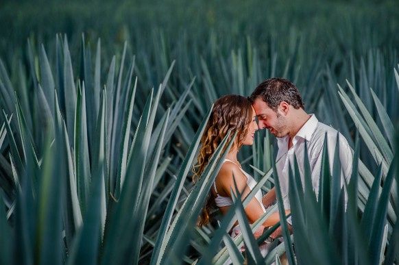 tequila