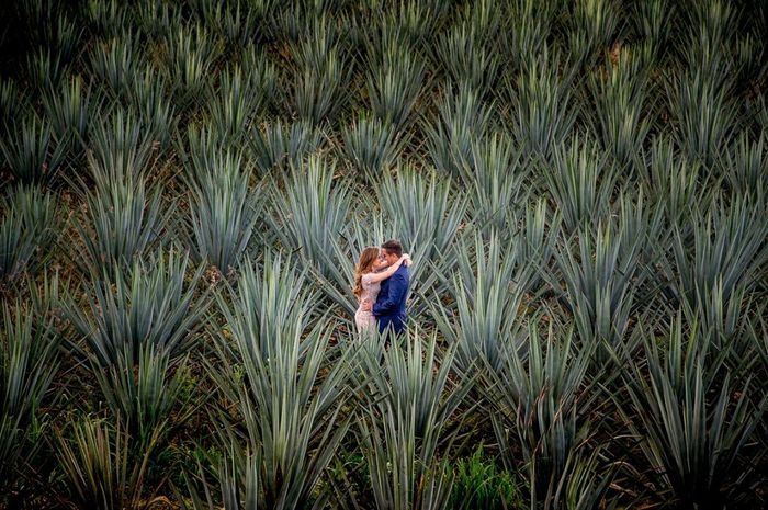 se ven sorprendentes sus paisajes