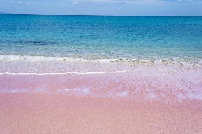 ITALIA – CERDEÑA – PLAYA ROSA DE BUDELLI
